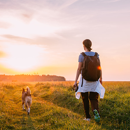 Passeios com o cão: importância e cuidados